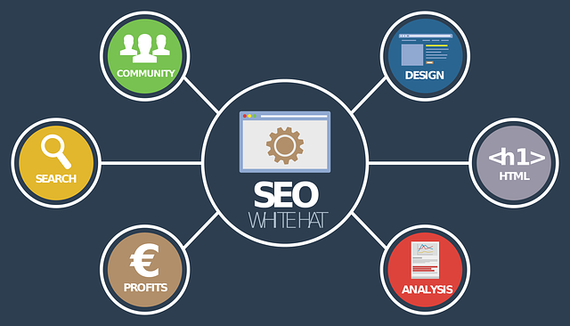 seo analýza on-line