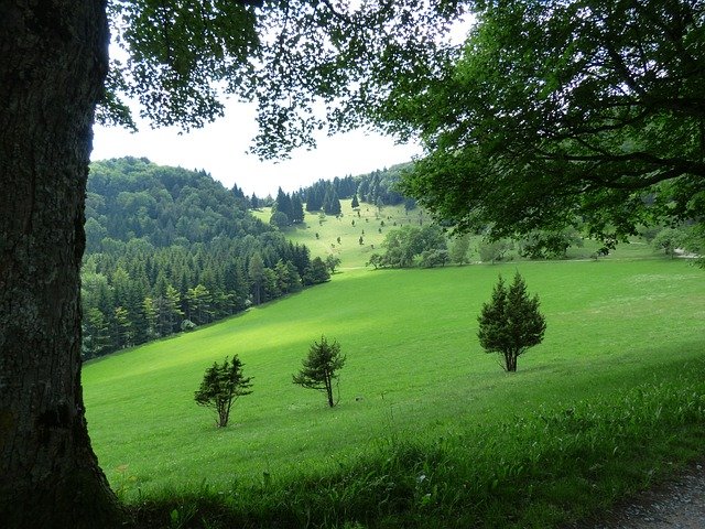 les v kopci
